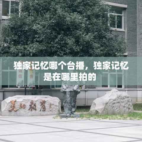 独家记忆哪个台播,独家记忆是在哪里拍的