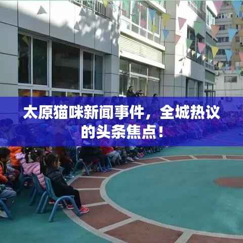 太原猫咪新闻事件,全城热议的头条焦点!