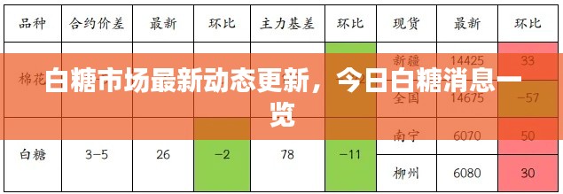 白糖市场最新动态更新,今日白糖消息一览