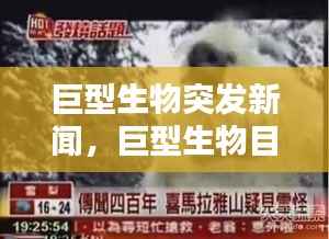 巨型生物突发新闻,巨型生物目击视频