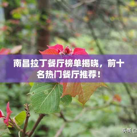 南昌拉丁餐厅榜单揭晓,前十名热门餐厅推荐!