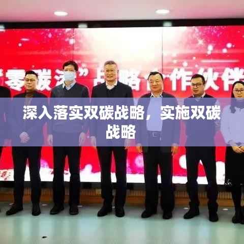 深入落实双碳战略,实施双碳战略