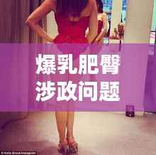 爆乳肥臀涉政问题深度探讨