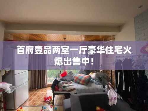 首府壹品两室一厅豪华住宅火爆出售中!