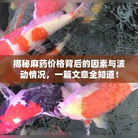 尽心竭力 第4页