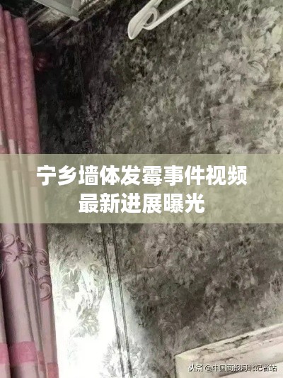 宁乡墙体发霉事件视频最新进展曝光