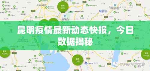 昆明疫情最新动态快报,今日数据揭秘