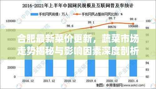 合肥最新菜价更新,蔬菜市场走势揭秘与影响因素深度剖析