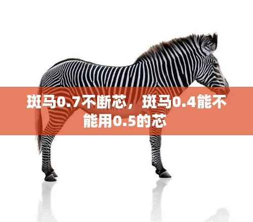 斑马0.7不断芯,斑马0.4能不能用0.5的芯