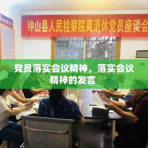 党员落实会议精神,落实会议精神的发言