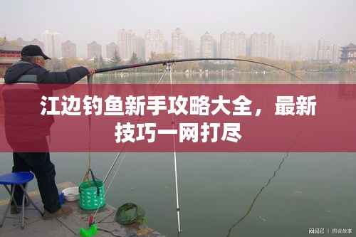 江边钓鱼新手攻略大全,最新技巧一网打尽