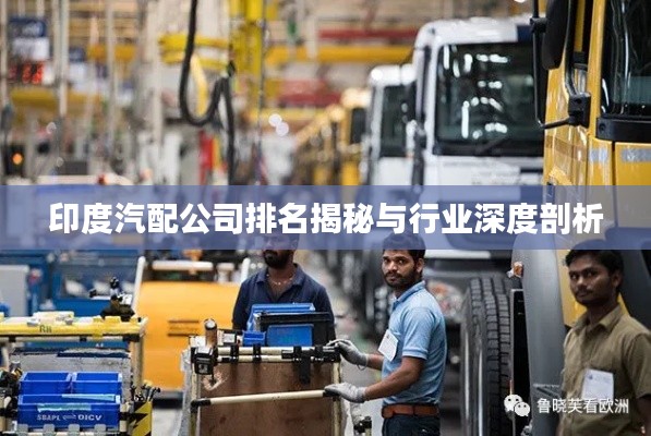 自作主张 第3页