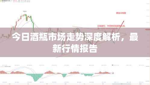 今日酒瓶市场走势深度解析，最新行情报告