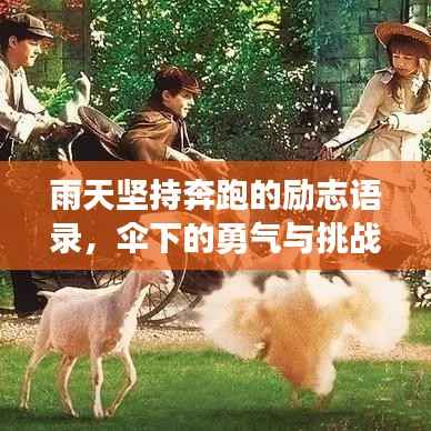 雨天坚持奔跑的励志语录,伞下的勇气与挑战