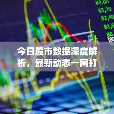 今日股市数据深度解析,最新动态一网打尽