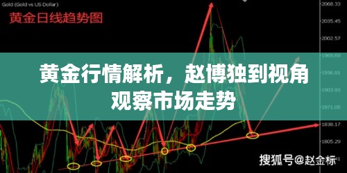 黄金行情解析,赵博独到视角观察市场走势