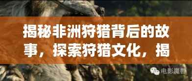 揭秘非洲狩猎背后的故事,探索狩猎文化,揭示真实经历(百度收录热点)