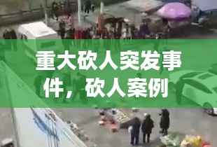 重大砍人突发事件,砍人案例