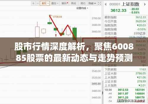 股市行情深度解析,聚焦600885股票的最新动态与走势预测
