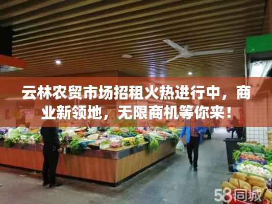 云林农贸市场招租火热进行中,商业新领地,无限商机等你来!