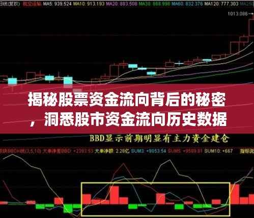 行疾如飞 第3页