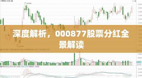深度解析,000877股票分红全景解读
