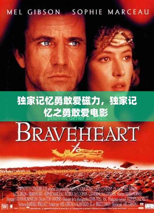 独家记忆勇敢爱磁力，独家记忆之勇敢爱电影 