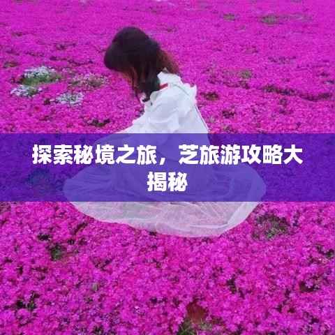探索秘境之旅,芝旅游攻略大揭秘
