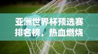 亚洲世界杯预选赛排名榜,热血燃烧,谁将成为希望之光?