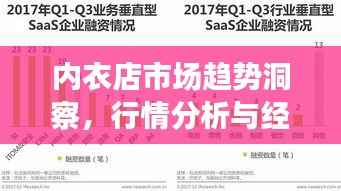 内衣店市场趋势洞察,行情分析与经营策略探讨