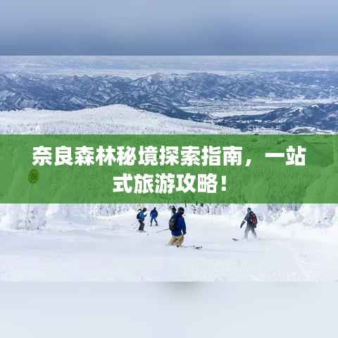 奈良森林秘境探索指南,一站式旅游攻略!