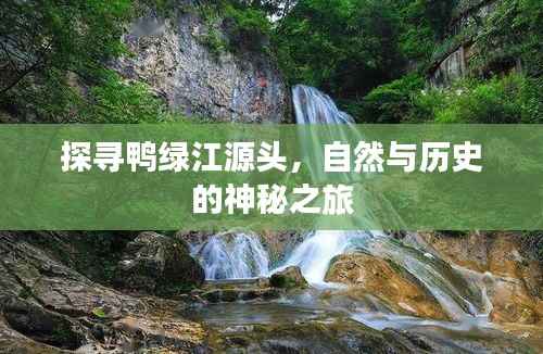 百鸟齐鸣 第2页