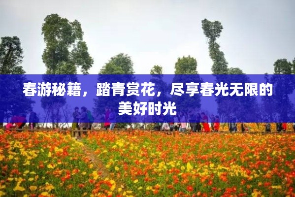 春游秘籍,踏青赏花,尽享春光无限的美好时光