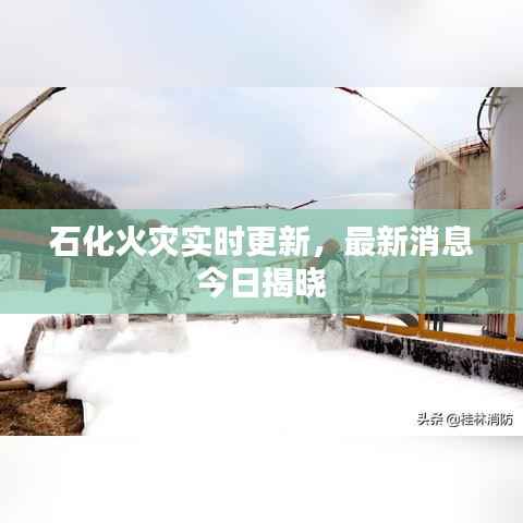 抛砖引玉 第2页