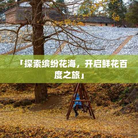「探索缤纷花海,开启鲜花百度之旅」