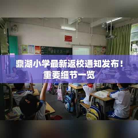 鼎湖小学最新返校通知发布!重要细节一览