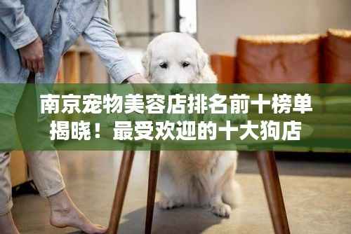 小心翼翼 第2页