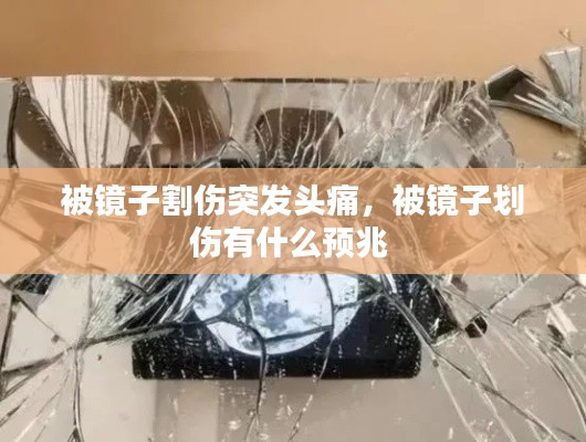 贵冠履轻头足 第3页