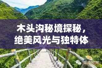 木头沟秘境探秘,绝美风光与独特体验全攻略