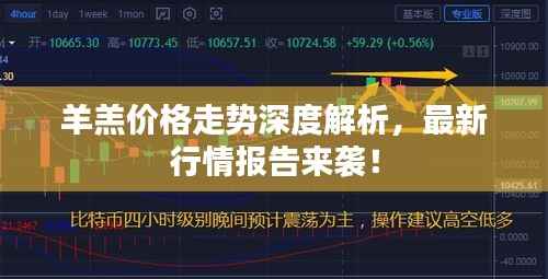 羊羔价格走势深度解析,最新行情报告来袭!