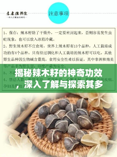 揭秘辣木籽的神奇功效,深入了解与探索其多重作用