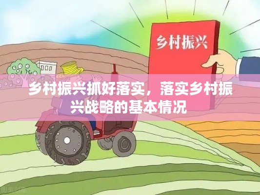 乡村振兴抓好落实,落实乡村振兴战略的基本情况