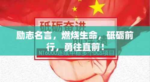 张弓拔弩 第2页