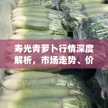 寿光青萝卜行情深度解析,市场走势、价格及供应链一网打尽