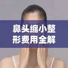 鼻头缩小整形费用全解析,如何选择合适的方式并了解价格?