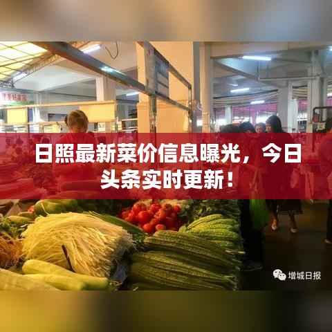 日照最新菜价信息曝光,今日头条实时更新!