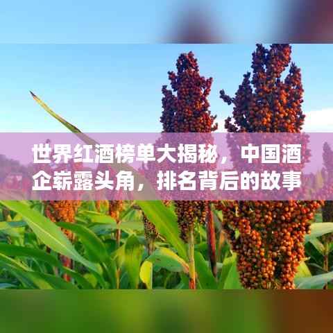 世界红酒榜单大揭秘，中国酒企崭露头角，排名背后的故事！