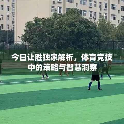 今日让胜独家解析，体育竞技中的策略与智慧洞察
