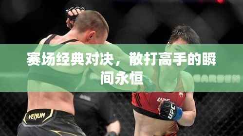 赛场经典对决,散打高手的瞬间永恒