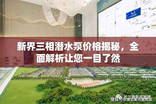 新界三相潜水泵价格揭秘,全面解析让您一目了然